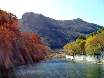 新澳门二四六天天开奖，油田试压泵